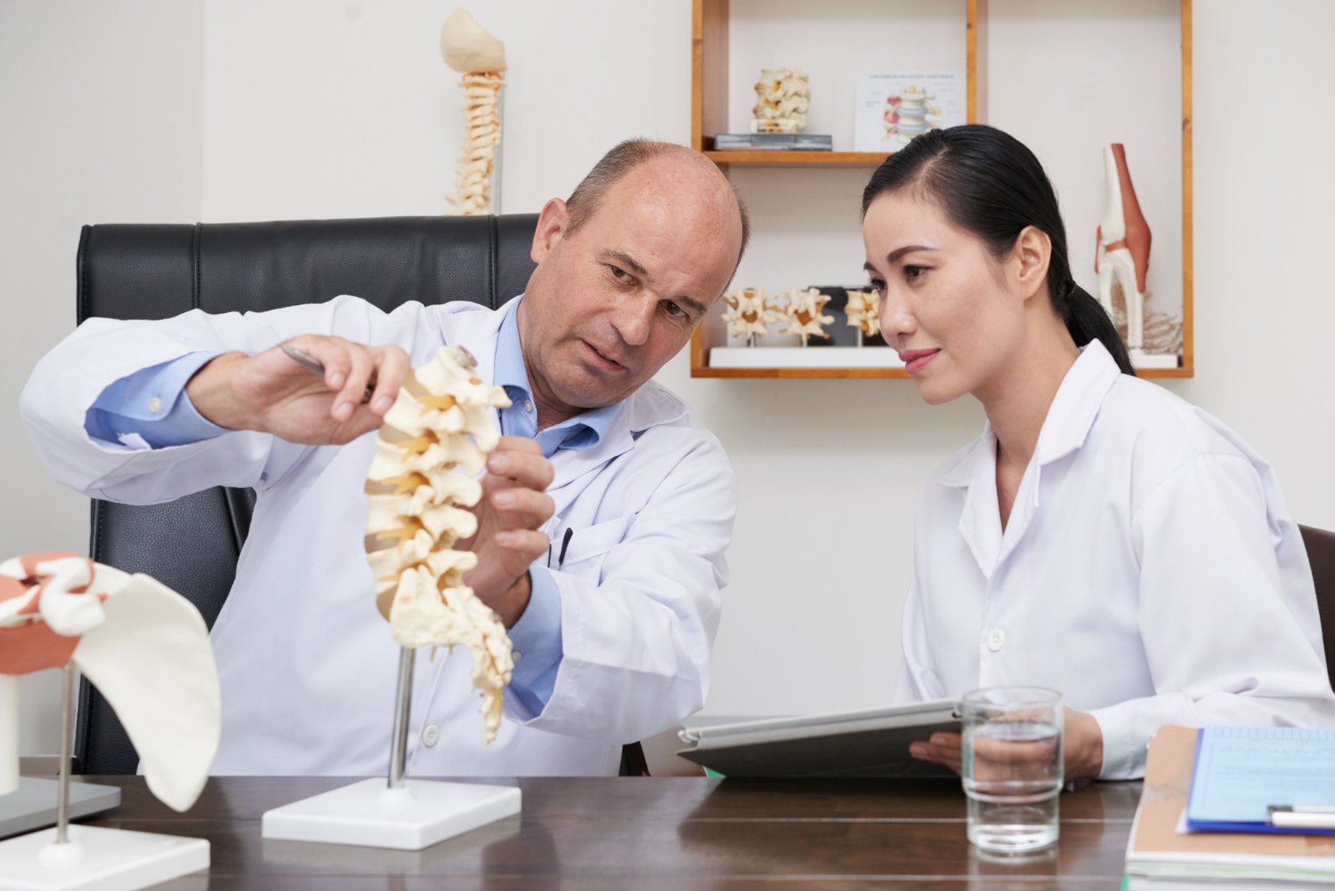 Chiropractor Should Implement image